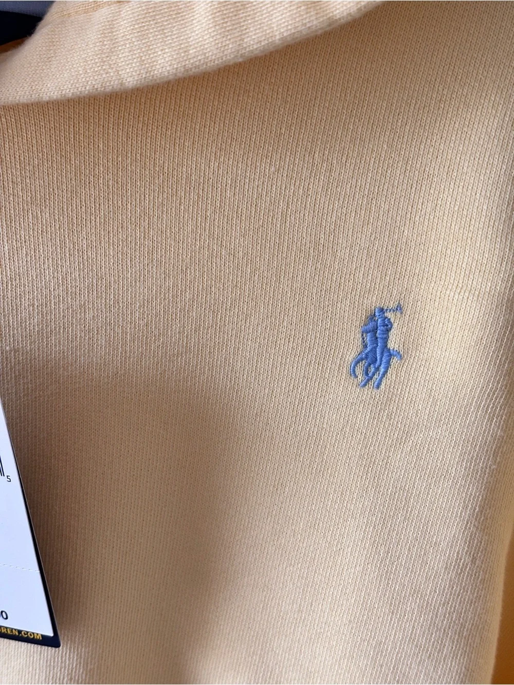 Polo by Ralph Lauren Kids Cropped Hoodie with Blue Pony Embroidery